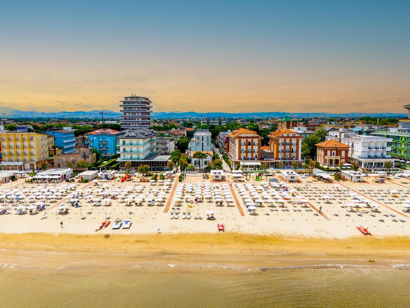 Image Column Section Image 1